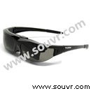 Vuzix Wrap 920 立體視頻眼鏡PDF下載中文版